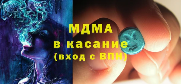 индика Беломорск